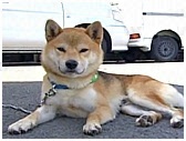 WbN 傤̂ ʐ^2