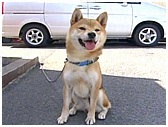 WbN 傤̂ ʐ^5