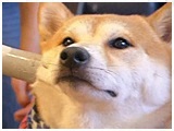 ͂ 傤̂ ʐ^4