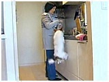AWF 傤̂ ʐ^3