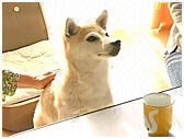 傤̂ ʐ^2