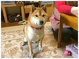  傤̂ ʐ^2