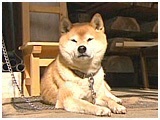 VV 傤̂ ʐ^5