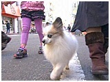 WrG 傤̂ ʐ^5