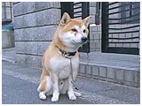 v 傤̂ ʐ^5