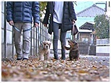 N[bN 傤̂ ʐ^2