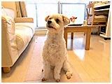 Buddy(ofB) 傤̂ ʐ^2