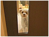 Buddy(ofB) 傤̂ ʐ^5