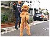 [K 傤̂ ʐ^4