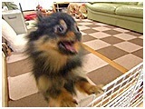 v 傤̂ ʐ^3