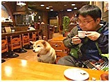 g 傤̂ ʐ^4