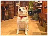 g 傤̂ ʐ^5