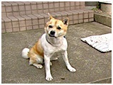 tbN 傤̂ ʐ^2