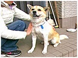 tbN 傤̂ ʐ^5