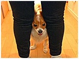Ag 傤̂ ʐ^3