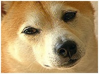 XpCN 傤̂ ʐ^1