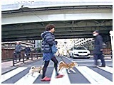 XpCN 傤̂ ʐ^4