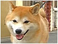  傤̂ ʐ^1