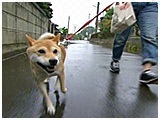  傤̂ ʐ^2