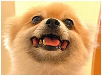  傤̂ ʐ^1