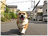 sA 傤̂ ʐ^5