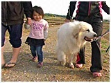 ig 傤̂ ʐ^5