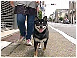  傤̂ ʐ^5