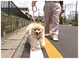 Aj[ 傤̂ ʐ^5