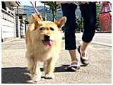 ^g 傤̂ ʐ^2