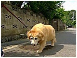 GWF 傤̂ ʐ^3