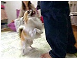 ʎOY 傤̂ ʐ^3