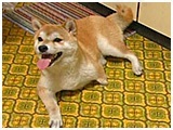 `r 傤̂ ʐ^2