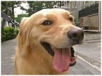 GEN 傤̂ ʐ^1