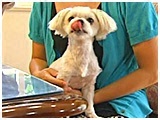 肭 傤̂ ʐ^2