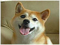  傤̂ ʐ^1