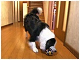 TV 傤̂ ʐ^3