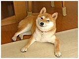  傤̂ ʐ^2