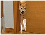  傤̂ ʐ^3