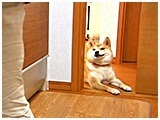  傤̂ ʐ^4