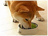  傤̂ ʐ^5