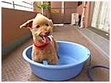 VrbN 傤̂ ʐ^5
