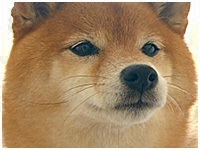  傤̂ ʐ^1