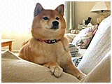  傤̂ ʐ^2