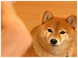  傤̂ ʐ^3