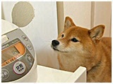  傤̂ ʐ^4