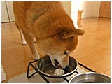  傤̂ ʐ^5