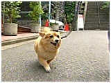 I 傤̂ ʐ^2