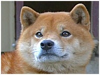  傤̂ ʐ^1