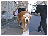 WFbN 傤̂ ʐ^2