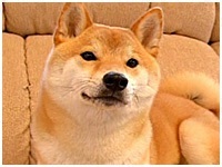 _N 傤̂ ʐ^1